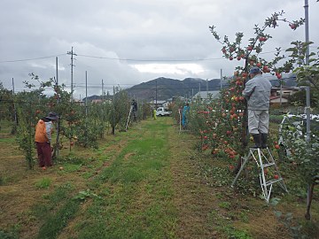 hatumi2024.10.9.jpg