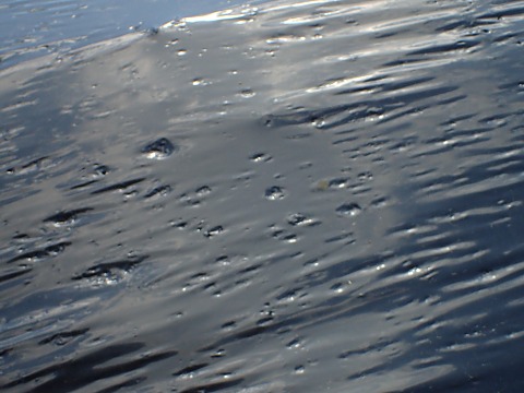 hyougai2026.5.2-3.jpg